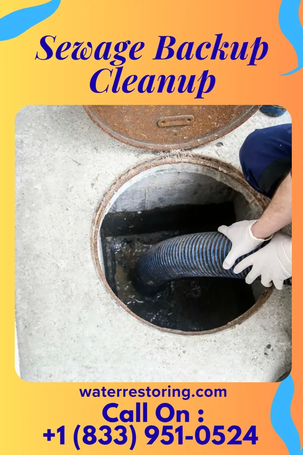 Sewage Backup Cleanup in Marshall, MN